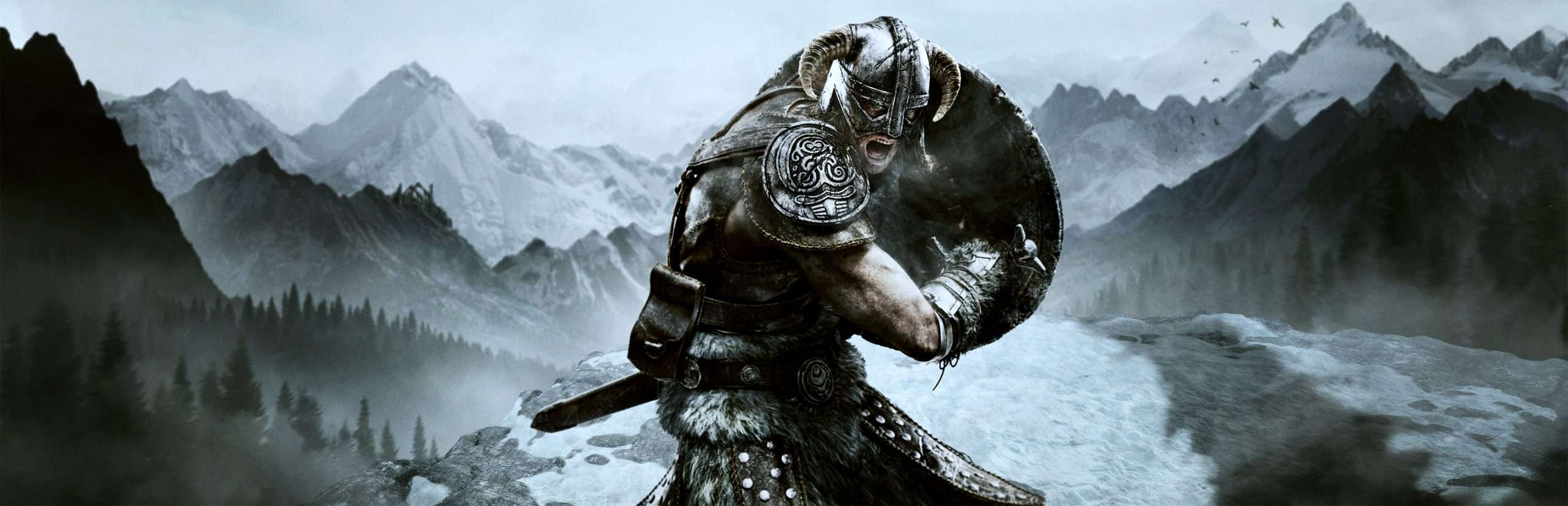 Skyrim game review by metric gamer